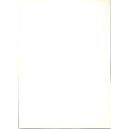 Portrait of Madame Vigée Le Brun - Vigée Le Brun c1905 Art Print D15