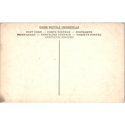 Decamps Bertrand and Raton Dog and Cat Louvre Museum c1908 Postcard PD2