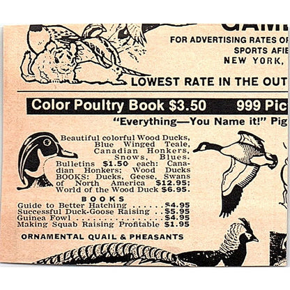 American Rock Club ARC LaPorte Texas 1977 Ad AF6-M2