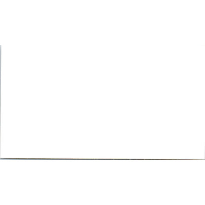 Lynn A Hartman National Business Association Galveston Vtg Business Card SD8-B19