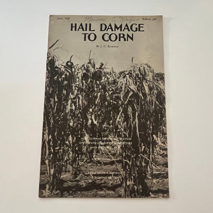 Hail Damage to Corn JC Eldredge 1936 Ames IA Farm Bulletin TK2-XB5