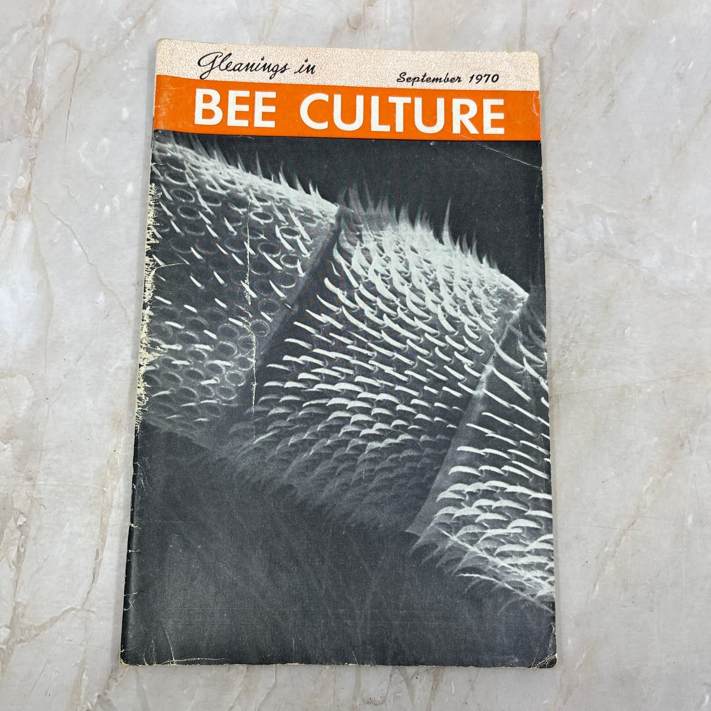 1970 Sept Gleanings in Bee Culture Magazine Bees Beekeeping Honey M8