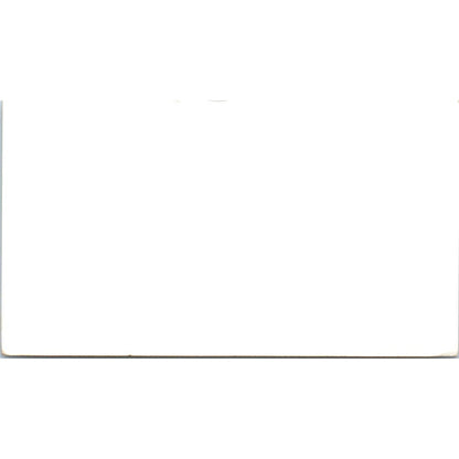 Diane Motor Inn Houston TX Vintage Business Card SE3-B1