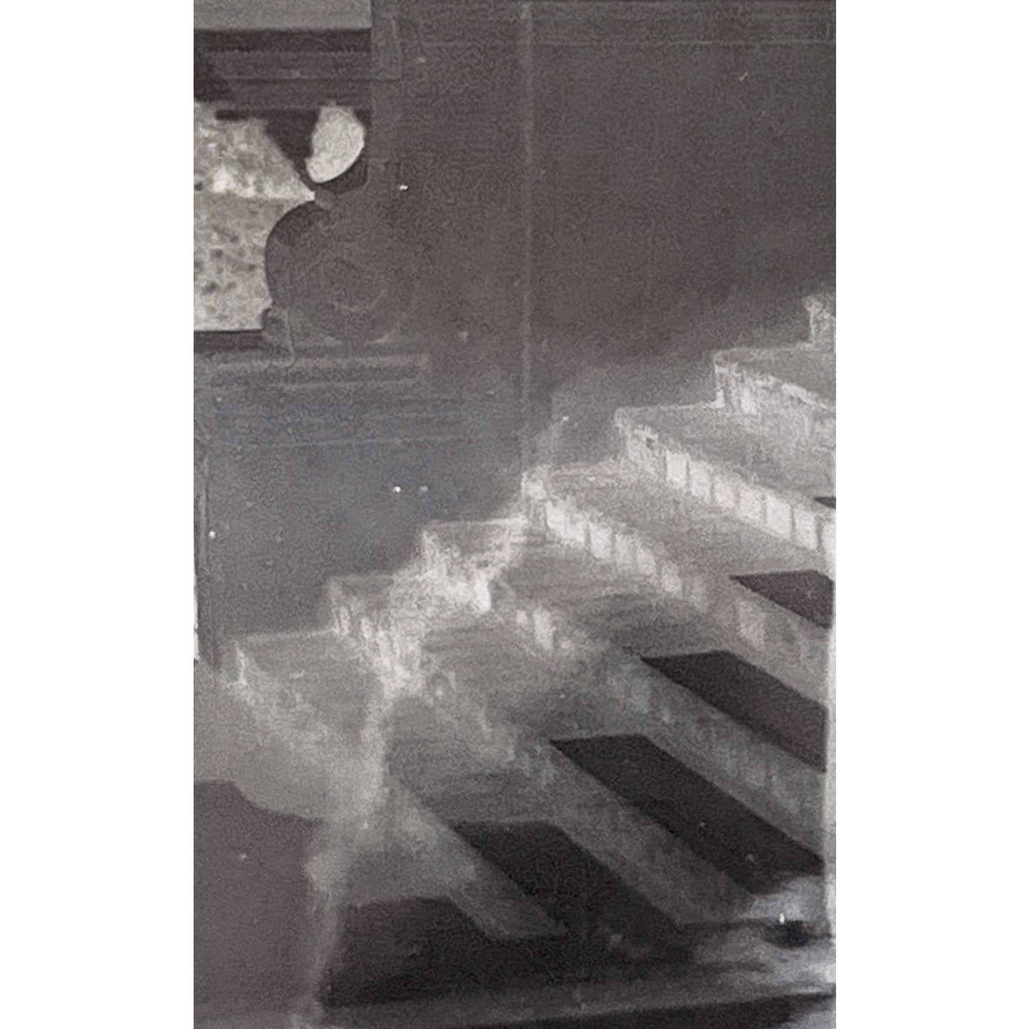 c1930 Lot of 26 Gum Del Monte California Negatives Nature Architecture TH2-MI1