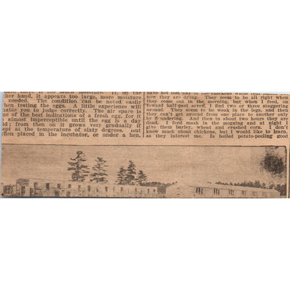 Sheffield Mfg. Co. Sewing Machines St. Louis MO 1910 Magazine Ad AF1-CM3