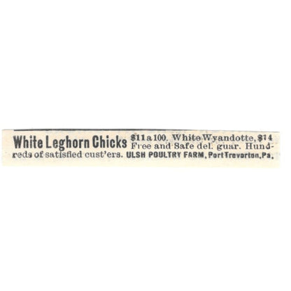 Ulsh Poultry Farm Leghorn Chicks Port Trevorton PA 1924 Ad AG3-S9