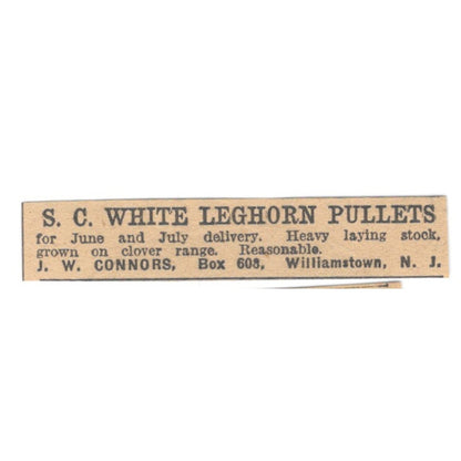 J.W. Connors S.C. White Leghorn Pullets Williamstown NJ 1922 Magazine Ad AF2-T4