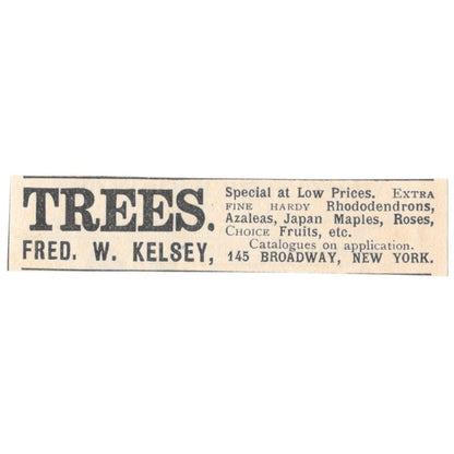 Fred W. Kelsey Trees Broadway New York 1892 Magazine Ad AK6-S3