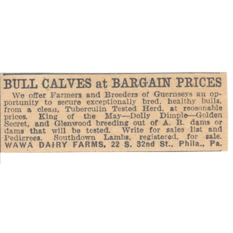 Wawa Dairy Farms Bull Calves Philadelphia PA 1922 Magazine Ad AF2-T7