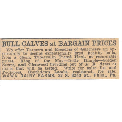 Wawa Dairy Farms Bull Calves Philadelphia PA 1922 Magazine Ad AF2-T7