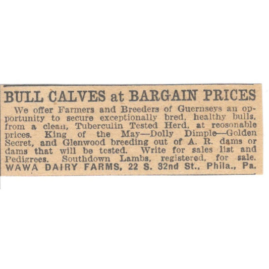 Wawa Dairy Farms Bull Calves Philadelphia PA 1922 Magazine Ad AF2-T7