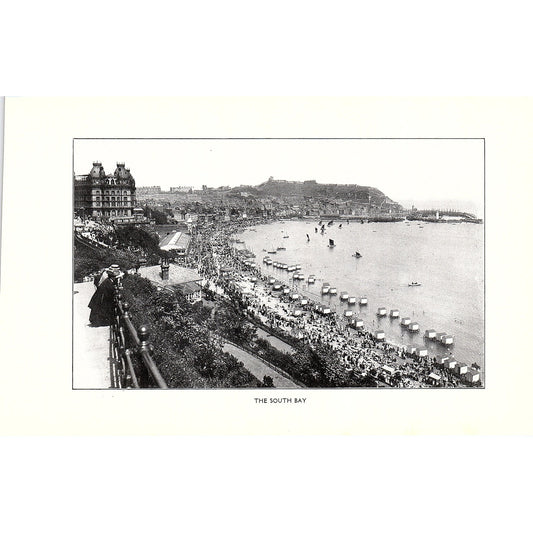 The South Bay Scarborough c1910 Photo Print AF3-8