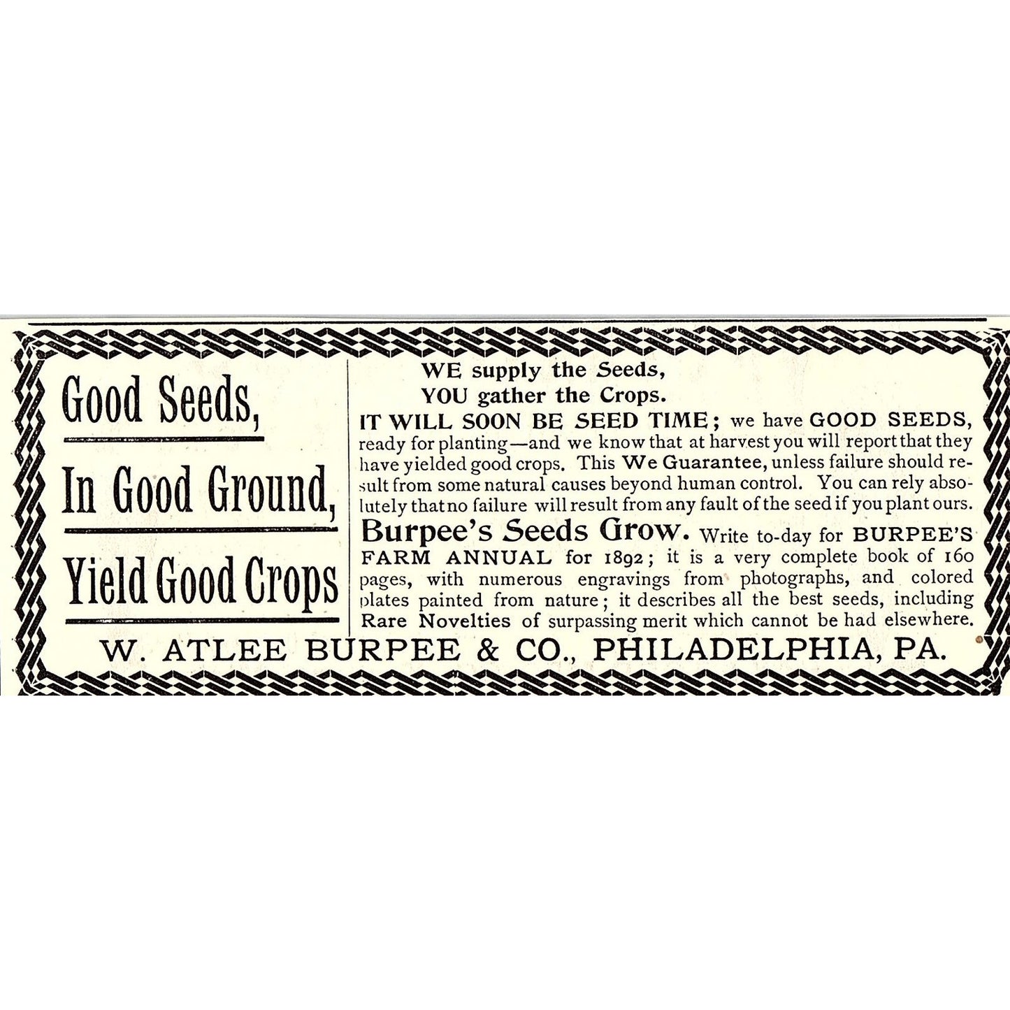 W. Atlee Burpee & Co Seeds Philadelphia PA 1892 Ad AG2-H5