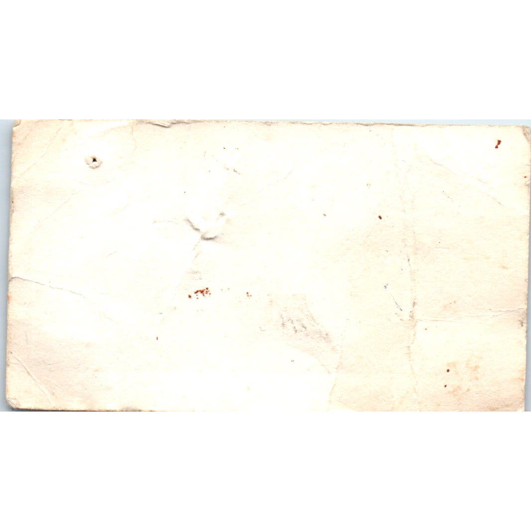 William D.  Shaw Lion Bill Kawkawlin MI Lions Club Vintage Business Card AF1