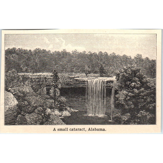 A Small Cataract in Alabama 1901 Engraving AF2-P4