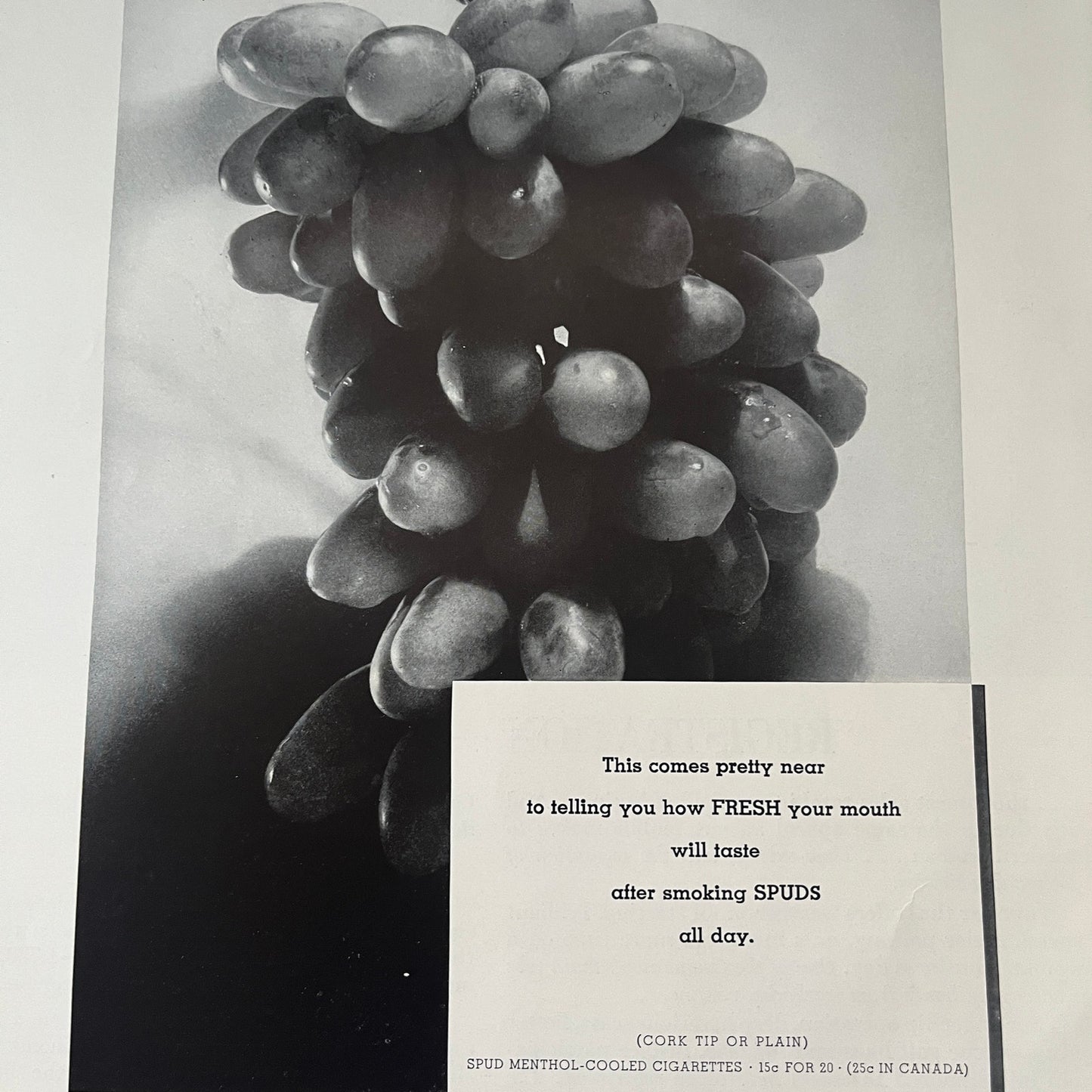 Spud Menthol Cooled Cigarettes Axton-Fisher Tobacco Co Louisville 1935 Ad V1-5