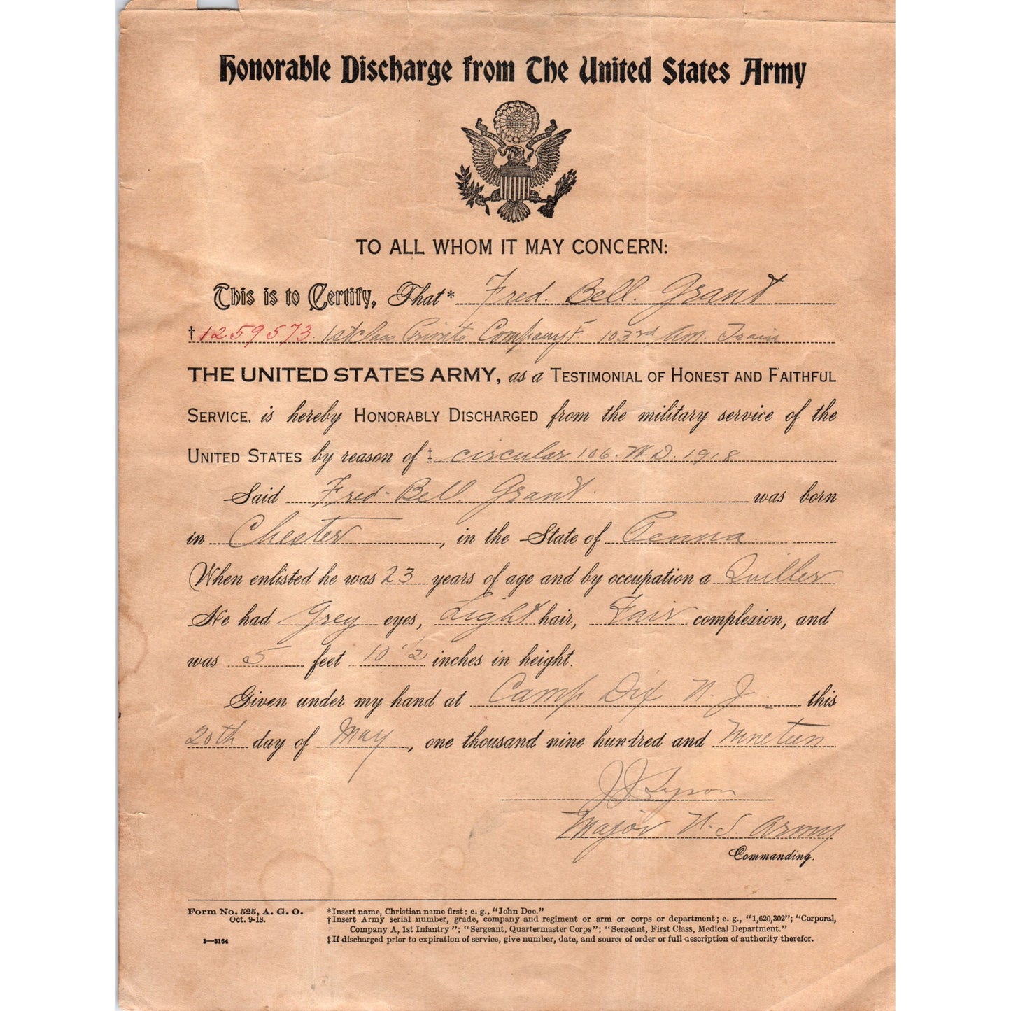 1919 WWI Honorable Discharge Certificate Fred Bell Grant Chester PA D21