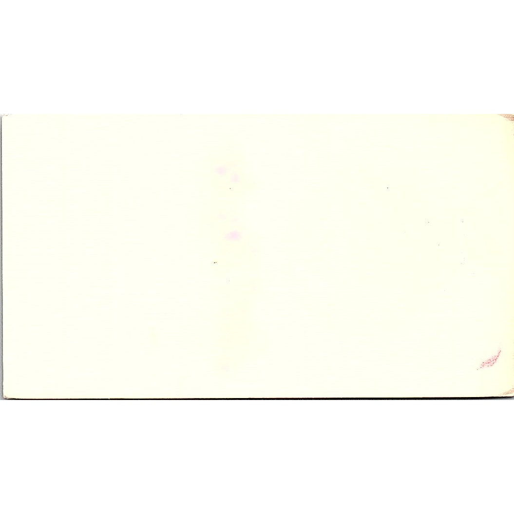 Lori Taylor Made In The USA Manager San Pedro CA Vintage Business Card SF3-B4