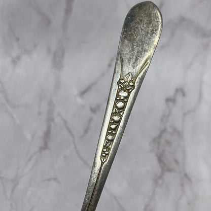 Wm Rogers Priscilla Large Spoon 8.5" Vintage Silverplate TC5-OS-26