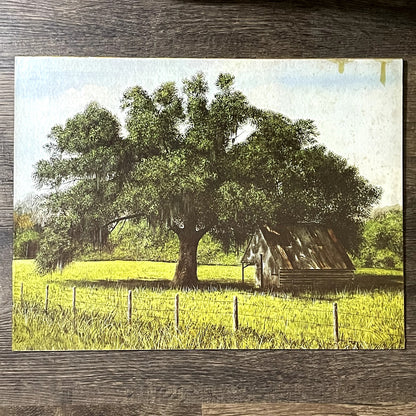 Will Hinds Landscape Farm Shed Under Tree Vintage Art Print 12x16 V11