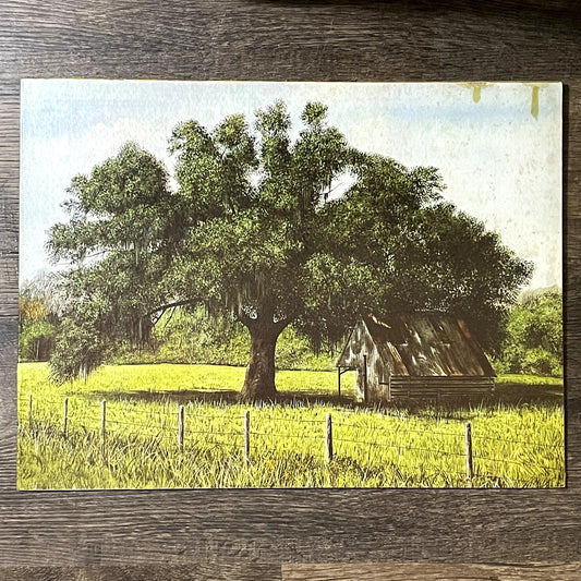 Will Hinds Landscape Farm Shed Under Tree Vintage Art Print 12x16 V11