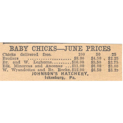 Johnson's Hatchery Baby Chick Prices Ickesburg PA 1922 Magazine Ad AF2-T7