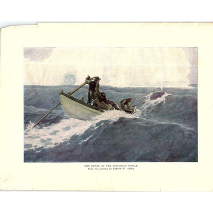 The Chase of the Bowhead Whale Clifford W Ashley Vintage Art Print 7x9 V12