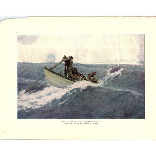 The Chase of the Bowhead Whale Clifford W Ashley Vintage Art Print 7x9 V12
