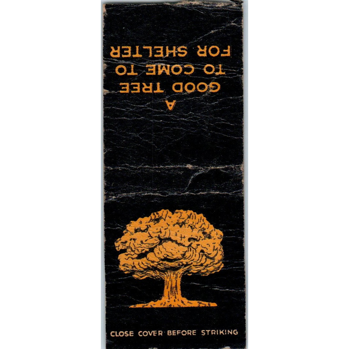 Minneapolis Savings & Loan A Good Tree for Shelter Vtg Matchbook Cover SD2-Y11