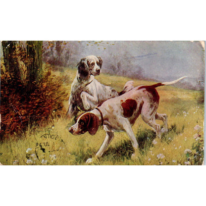 Two Bird Dog Hunting Pointers Illustration c1908 Postcard PD2