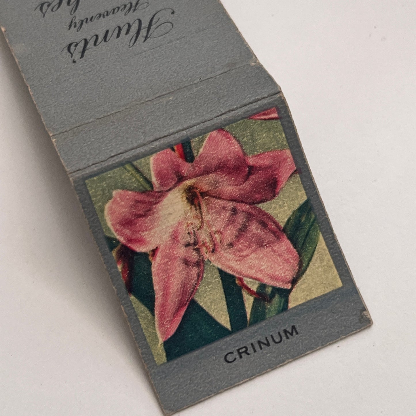 Hunt's Heavenly Peaches Crinum Flower Vintage Matchbook Cover MM2-7