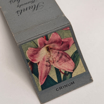 Hunt's Heavenly Peaches Crinum Flower Vintage Matchbook Cover MM2-7