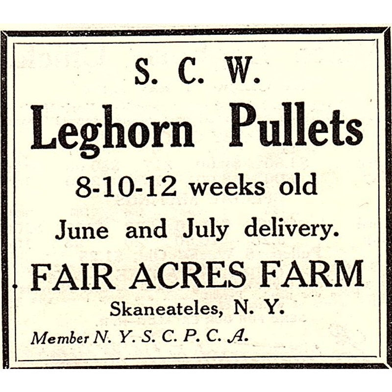 Fair Acres Farm Leghorn Pullets Skaneateles NY 1924 Ad AG3-S18