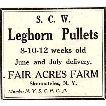 Fair Acres Farm Leghorn Pullets Skaneateles NY 1924 Ad AG3-S18