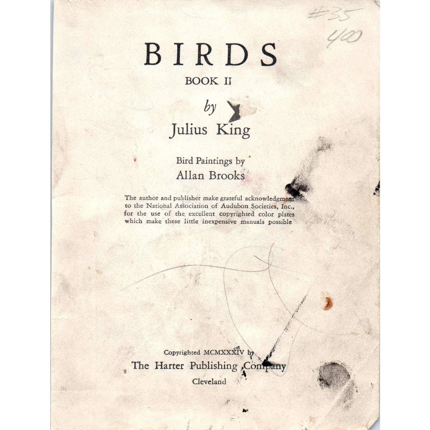 Purple Martin 4.5x.6.25" Allan Brooks 1934 Bird Book Painting Print AF1-BB
