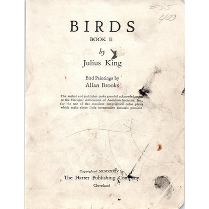 Purple Martin 4.5x.6.25" Allan Brooks 1934 Bird Book Painting Print AF1-BB