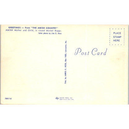 Amish Mother & Child in Market Buggy Pennsylvania Dutch Country Vtg Postcard PD5