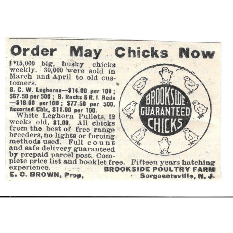 Brookside Poultry Farms E.C. Brown Sergeantsville NJ 1924 Ad AG3-S2
