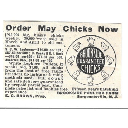 Brookside Poultry Farms E.C. Brown Sergeantsville NJ 1924 Ad AG3-S2
