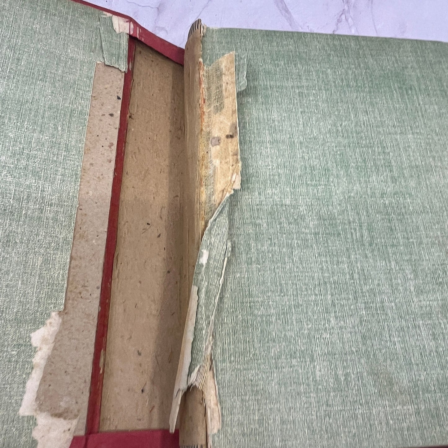 1910 The Life of Theodore Roosevelt and the Story of His African Trip H/C TB8