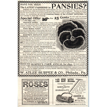 The Rainbow Rose L.L. May & Co St. Paul Minnesota c1890 Victorian Ad AE8