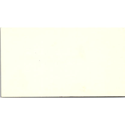 Snelling & Snelling Lowell F. Peterson Pasadena TX Vintage Business Card SF3-B7