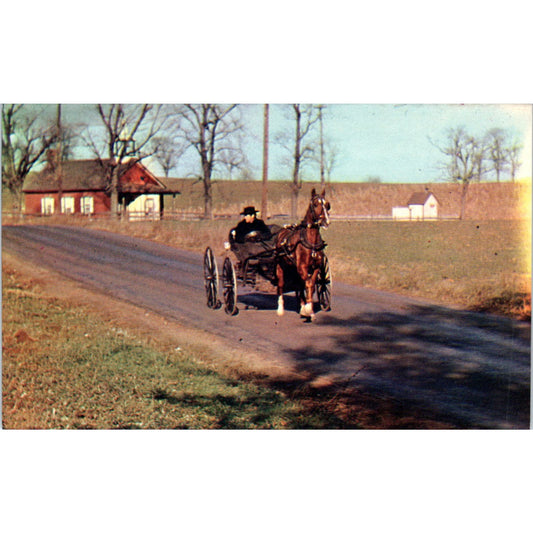 Amish Buggy Near Little Red Schoolhouse Pennsylvania Dutch Country Postcard PD7