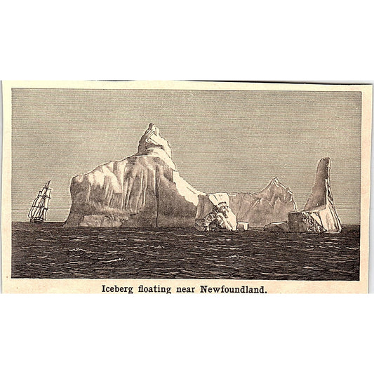 Iceberg Floating Near Newfoundland 3x4" 1901 Engraving AF6-M10