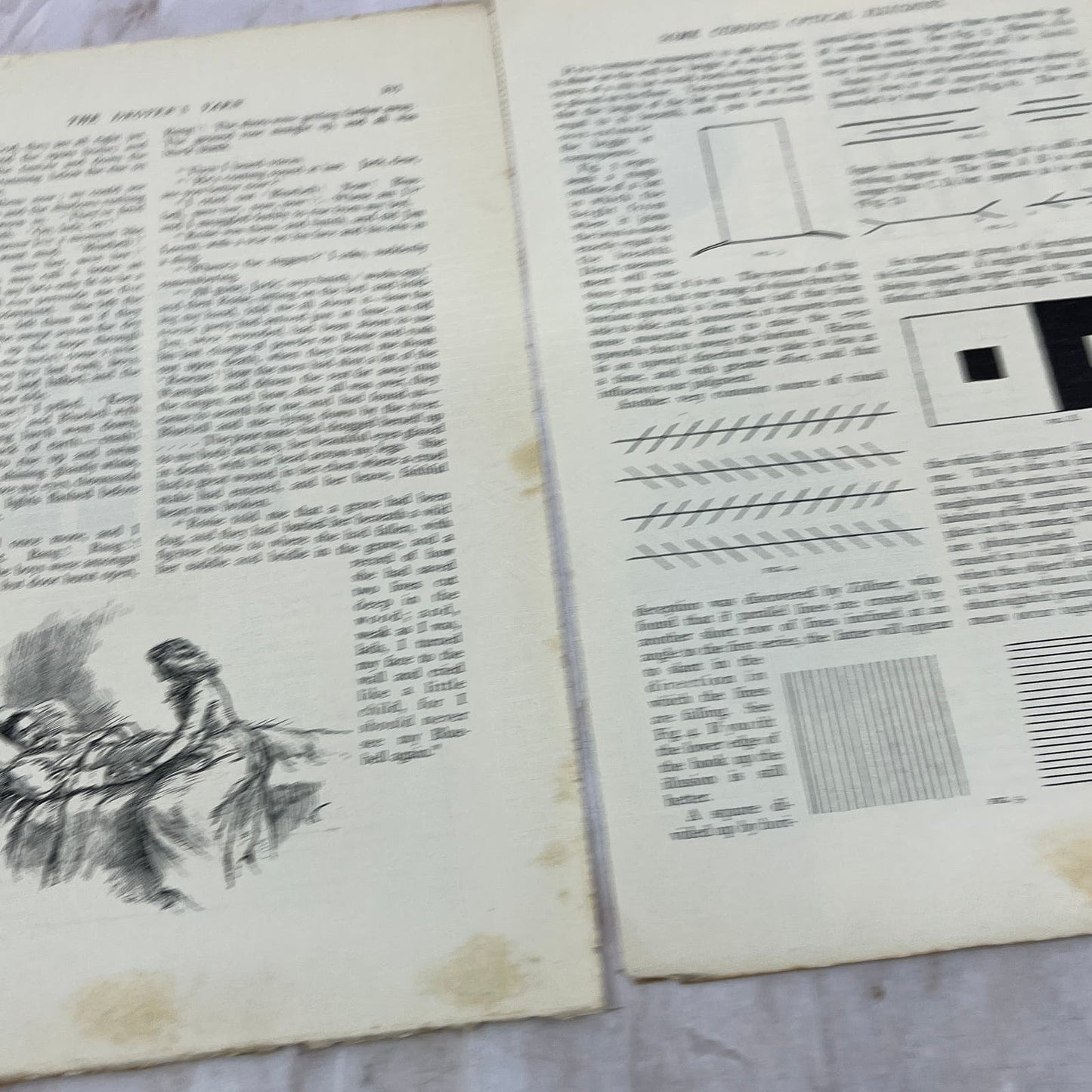 Some Curious Optical Illusions George Lindsay Johnson 1897 Victorian Article AE9