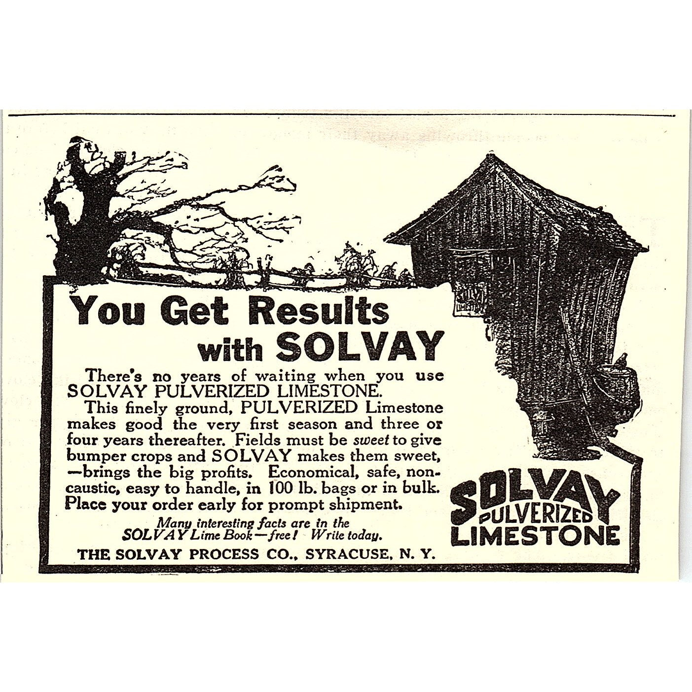 The Solvay Process Co Solvay Pulverized Limestone Syracuse NY 1924 Ad AG3-H2