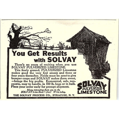 The Solvay Process Co Solvay Pulverized Limestone Syracuse NY 1924 Ad AG3-H2