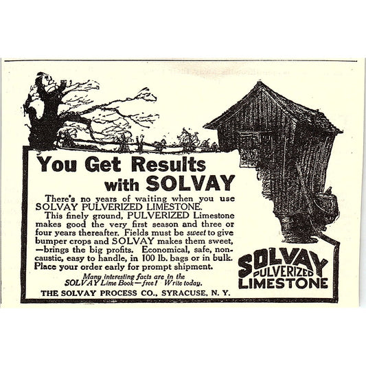 The Solvay Process Co Solvay Pulverized Limestone Syracuse NY 1924 Ad AG3-H2