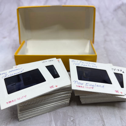 1979 Huge Lot of Slides Showing Various Antiques and Cloisonne Pottery TJ5