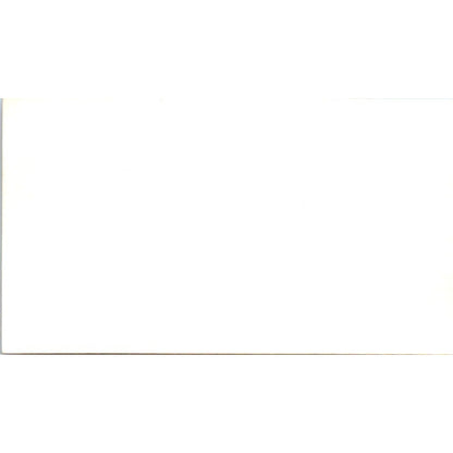 Laguna Beach Police Department Carmen Pallasho Vintage Business Card SD4-B2